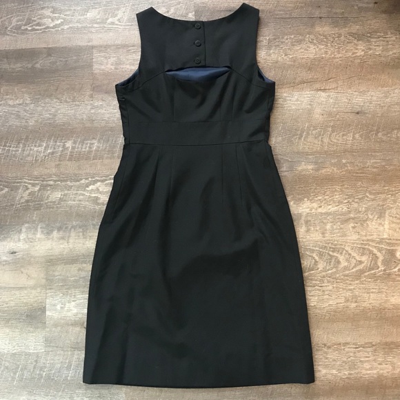 Anthro Leifsdotter Ruffled Bodice Sleeveless Dress - Picture 3 of 8